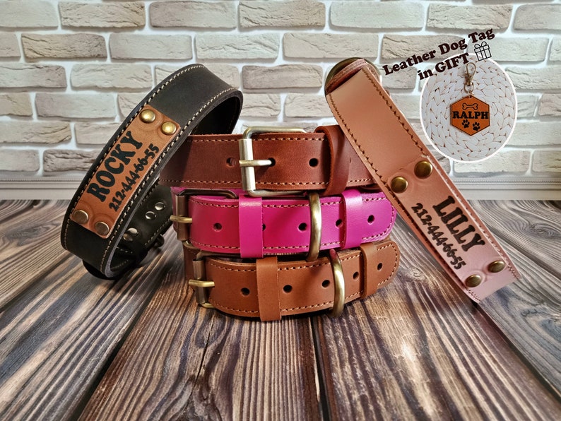 Leather Dog Collar Leather Dog Collar Personalized Custom Etsy
