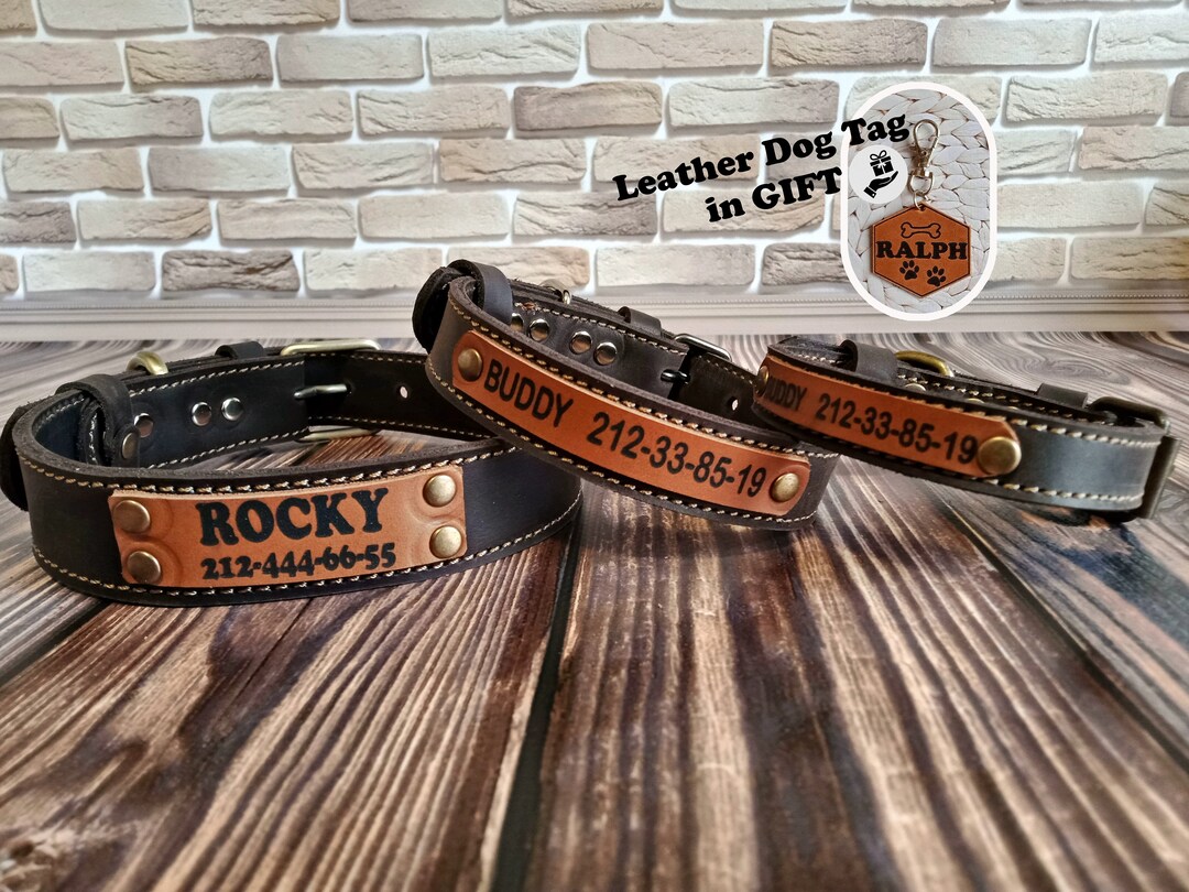 Personalized Leather Dog Collar With Leather Name Plate, Engraved Boy