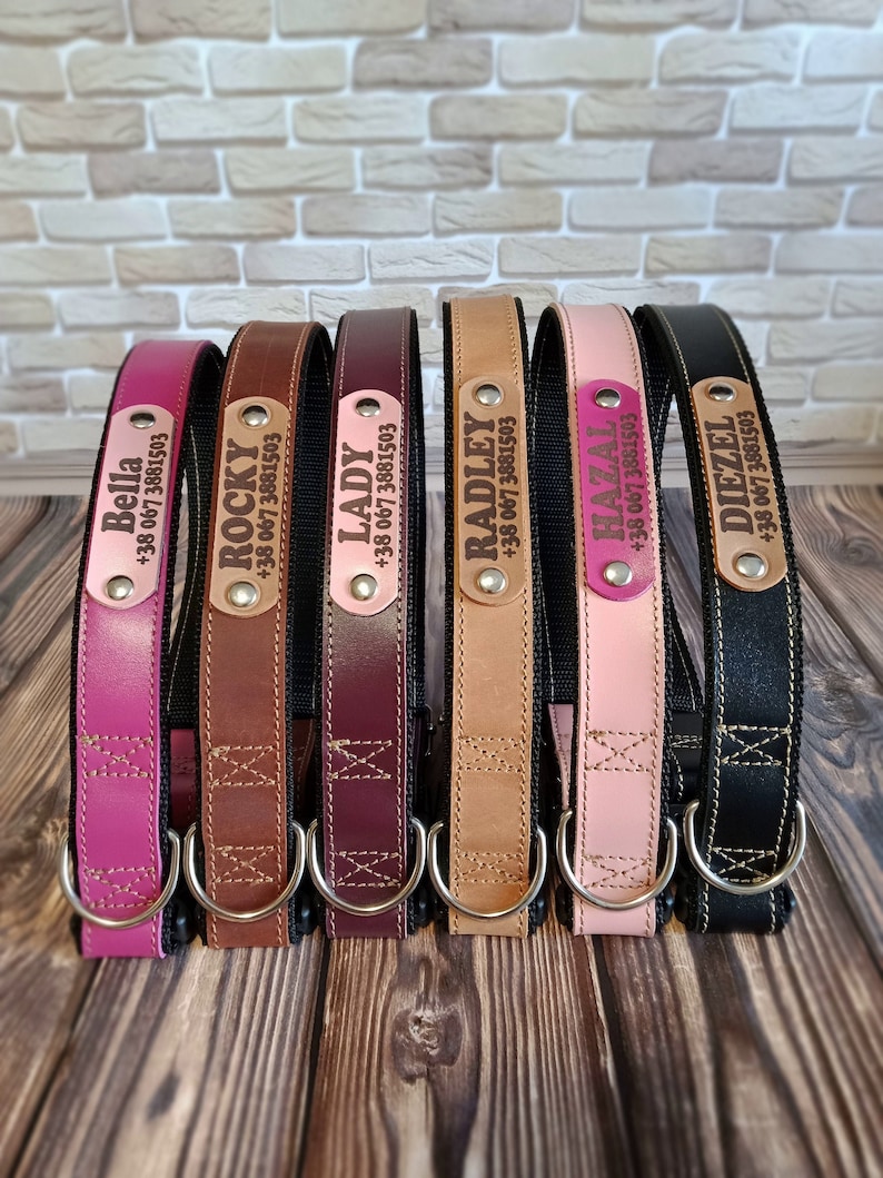 Leather Dog Collar With Leather Name Plate Personalized Dog Etsy