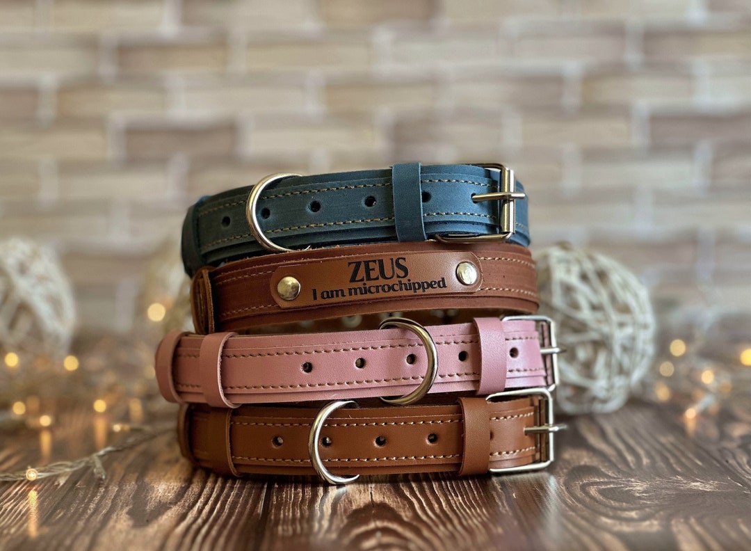Thin Strong Leather Dog Collar Personalized Dog Collar Etsy