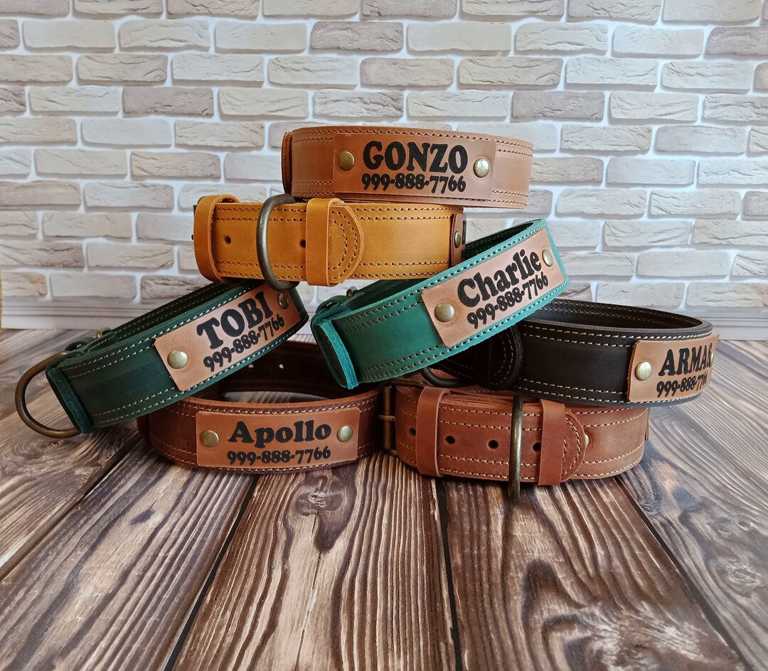 Gifts for Dog Lovers, Thick Dog Collars, Dog Collar Girl, Dog Collar