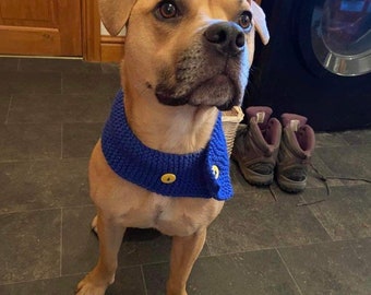 The Hand Knitted Button Dog Scarf