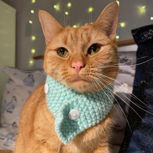 Cat Scarf - Etsy