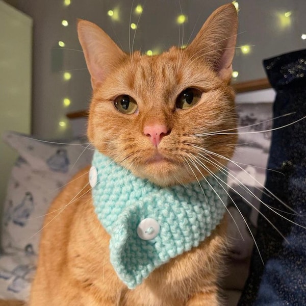 The Hand Knitted Button Up Cat Scarf