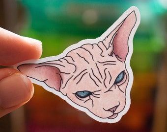 Grumpy Sphynx Cat Sticker