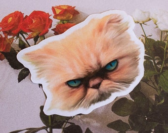Grumpy Persian Cat Sticker