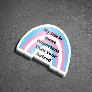 Trans pride sticker