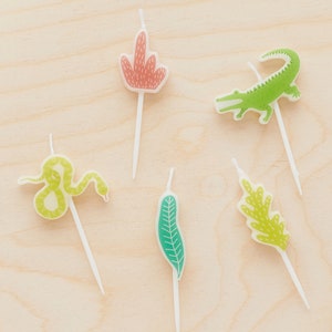 5 Snappy Birthday Jungle Candles