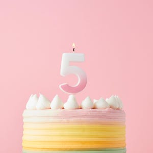 Pink Ombre Number 5 Wax Candle