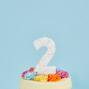 Giant Sprinkle Candle Number 2