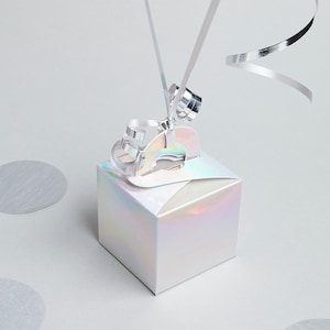 5 Iridescent Balloon Weight Boxes