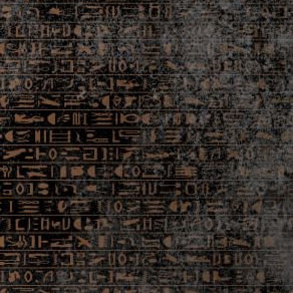 Jersey "Hieroglyphen" Ägypten Stoff grau schwarz je 50 cm