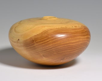 Hand Turned Siberian Elm Hollow Form Vase