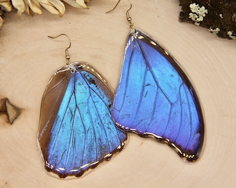 Blue Morpho Earrings | Real Blue Morpho Butterfly Earrings | Blue Morpho Jewelry | Butterfly Wing Earrings | Resin Insect Wing Earrings