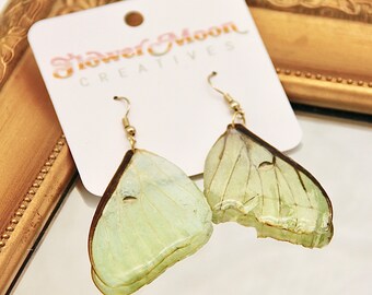 Luna Moth Earrings | Luna Moth Wing Earrings | Insect Jewelry | Real Luna Moth Earrings | Insect Wing Earrings | Butterfly Wing Earrings