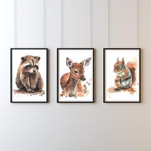Puede incluir: Tres acuarelas de animales en un entorno de bosque. La primera pintura presenta un mapache, la segunda un cervatillo y la tercera una ardilla.