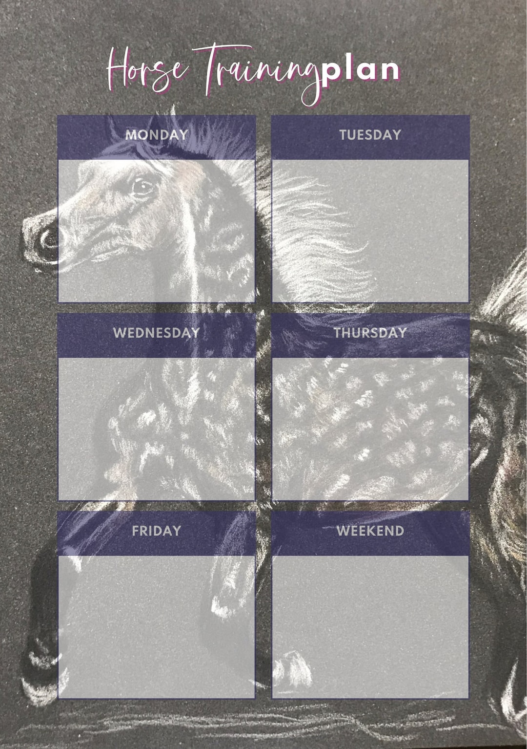 printable-horse-training-plan-stable-planner-equine-etsy