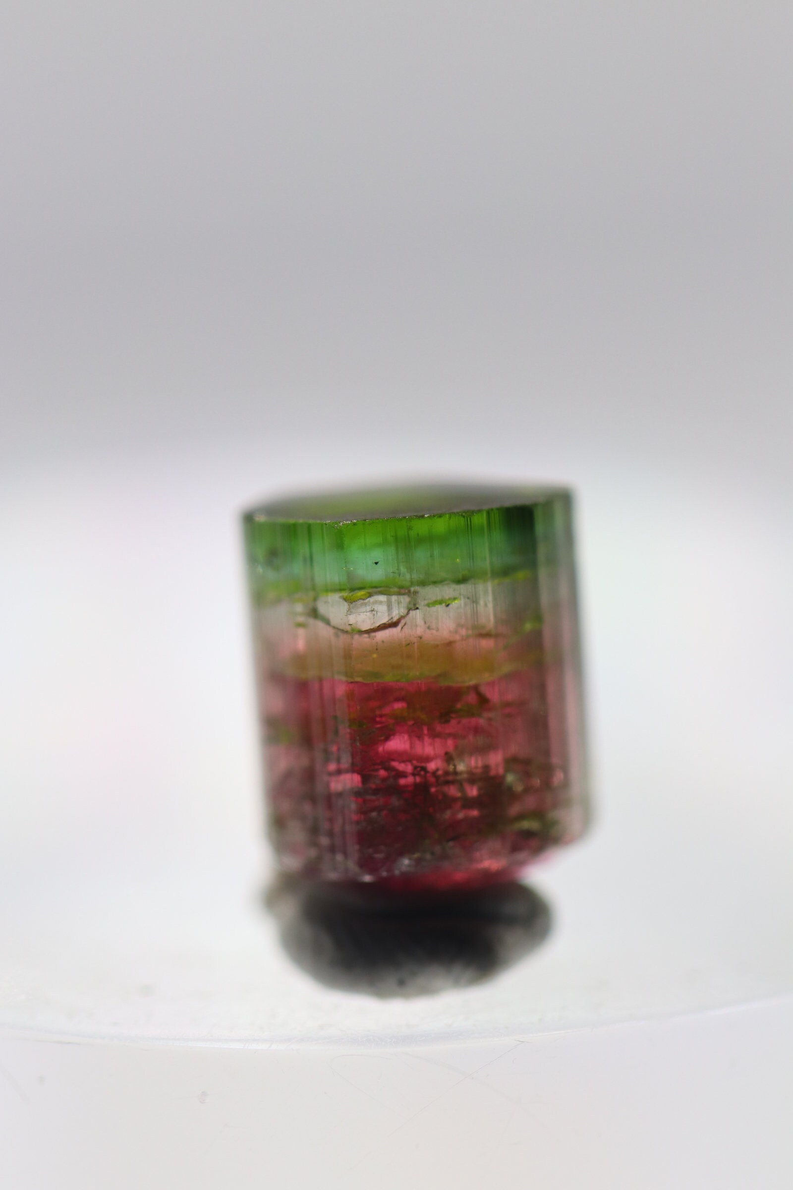 36 Ct Watermelon Terminated Elbaite Tourmaline Crystal From 36 Ct Watermelon Terminated Elbaite Tourmaline Crystal From