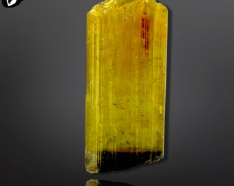 Bi Colour   Terminated Elbaite Tourmaline Crystal from the Paprok Mine Afghanistan