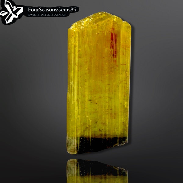 Bi Colour   Terminated Elbaite Tourmaline Crystal from the Paprok Mine Afghanistan