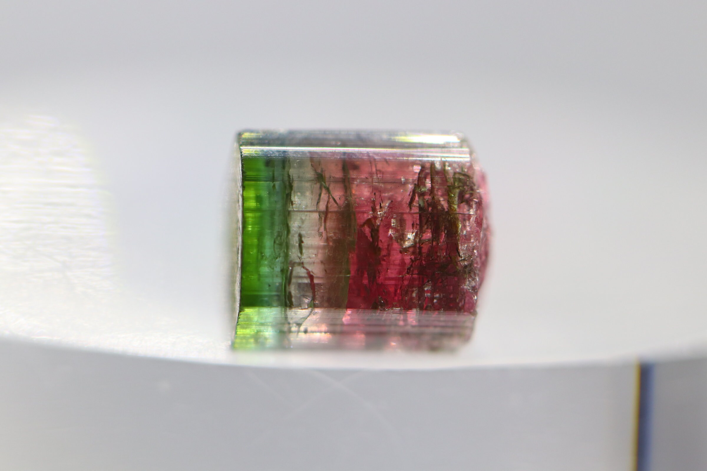 36 Ct Watermelon Terminated Elbaite Tourmaline Crystal From