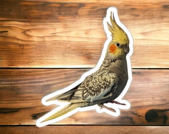 Cockatiel Sticker, Multiple Sizes, Pearl Cockatiel Photo Sticker, Gift for Parrot Lover, Pet Bird Owner.