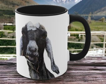 Goat Photo - Accent Coffee Mug, 11oz