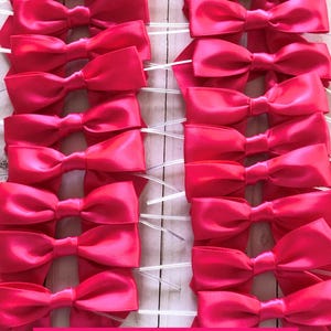 Pode incluir: Um conjunto de 20 la&ccedil;os de cetim rosa brilhante, cada um preso a uma haste de pl&aacute;stico branca fina. Os la&ccedil;os est&atilde;o dispostos em duas colunas verticais. Um log&oacute;tipo circular rosa no canto superior direito diz PINEY PORCH e uma faixa rosa diz set of 20 bows.