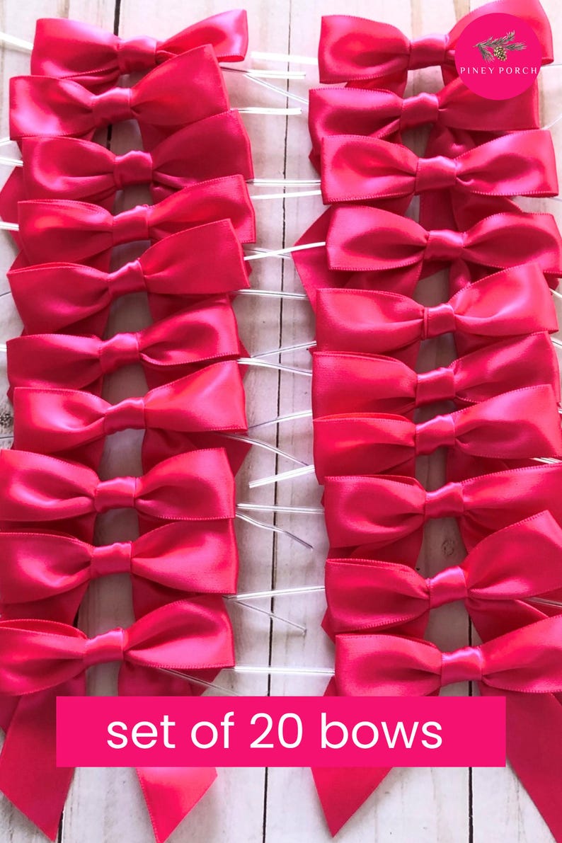 Pode incluir: Um conjunto de 20 la&ccedil;os de cetim rosa brilhante, cada um preso a uma haste de pl&aacute;stico branca fina. Os la&ccedil;os est&atilde;o dispostos em duas colunas verticais. Um log&oacute;tipo circular rosa no canto superior direito diz PINEY PORCH e uma faixa rosa diz set of 20 bows.
