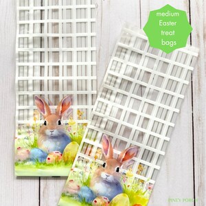 May include: Two clear Easter treat bags with a white lattice design. Each bag features a watercolor illustration of a bunny, Easter eggs, and flowers. The bags are labeled "medium Easter treat bags".