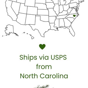 Pode incluir: Um mapa de contorno a preto e branco dos Estados Unidos com um &iacute;cone de cora&ccedil;&atilde;o verde sobre a Carolina do Norte. Abaixo do mapa, um cora&ccedil;&atilde;o verde situa-se sobre o texto Ships via USPS from North Carolina, um ramo de pinheiro e PINEY PORCH.