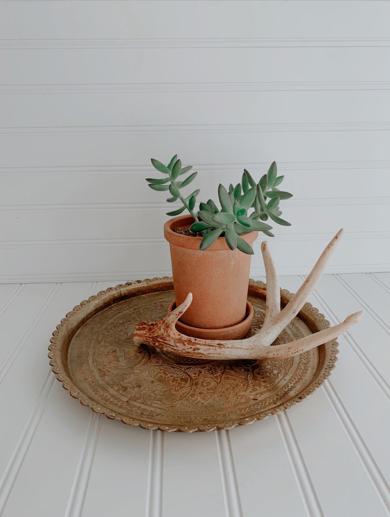 Vintage Brass Tray / Solid Brass Tray / Vintage Round Brass Etsy