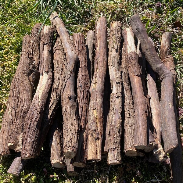 Very OLD Wild Grapevine Wood Sections Grapevine Magic Smudge Wisdom Abundance Branches/ Logs/ Sticks/ Crafting Ritual 14" L  Bundle Package