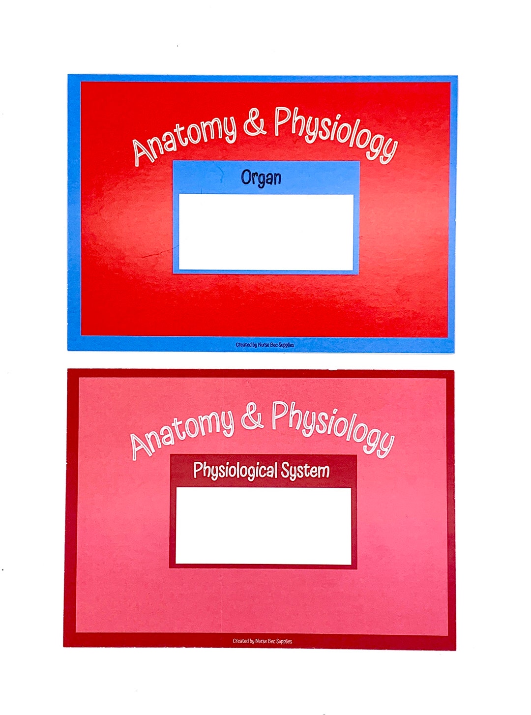 Anatomy and Physiology Flashcards. Student Nurse Nursing Etsy UK