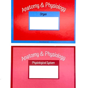 Anatomy and physiology Flashcards. Student nurse, nursing, medical, gcse, study essentials, flash cards, exam, revision, biology,