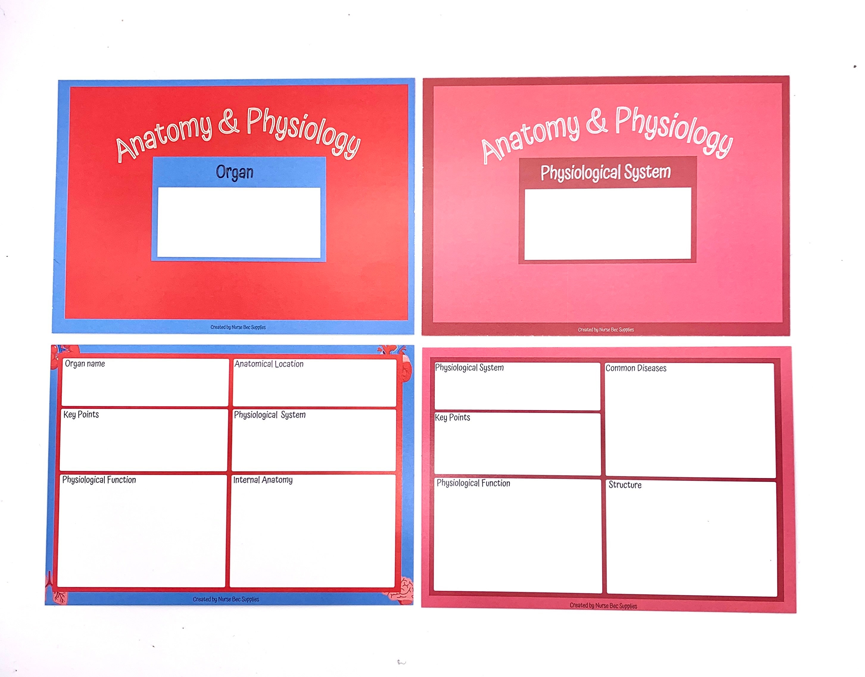 Anatomy and Physiology Flashcards. Student Nurse Nursing Etsy UK