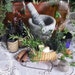 Propietario de <a href='https://www.etsy.com/mx/shop/Sweetcarolbotanicals?ref=l2-about-shopname&from_page=listing' class='wt-text-link'>Sweetcarolbotanicals</a>