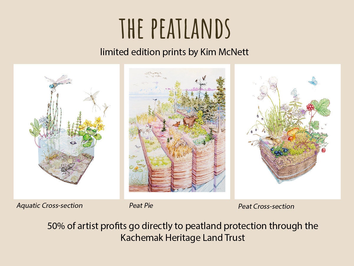 The Peatlands: Aquatic Cross-section Limited Edition Print by Alaskan ...