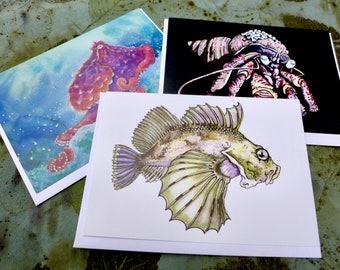 Marine Life color gift card set: Artwork by Alaskan artist Kim McNett - Octopus, Hermit Crab, Fish