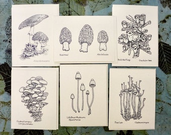 Mushroom Notecard Set: Card set of nature drawings by Alaskan artist Kim McNett