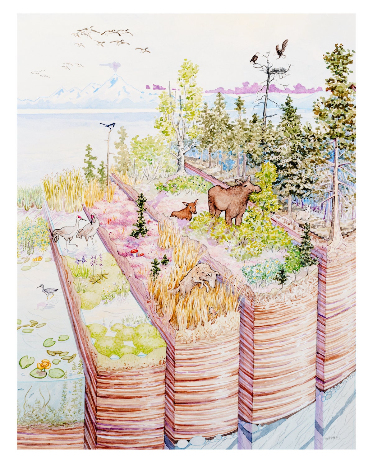 The Peatlands: Peat Pie Limited Edition Print by Alaskan Artist Kim ...