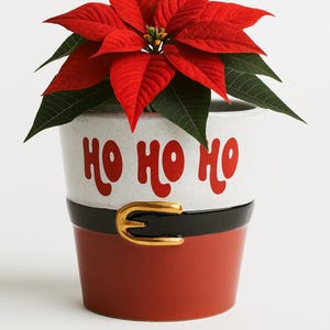 May include: A festive poinsettia plant in a decorative pot. The pot is white with red "HO HO HO" text, a black belt, and a gold buckle. The poinsettia has bright red bracts and green leaves.