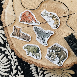 MYSTERY MISPRINTS Aufkleber 4er Pack, Endangered Species Aufkleber, Laptop Aufkleber, Geschenk für Biologe, Notebook Aufkleber,