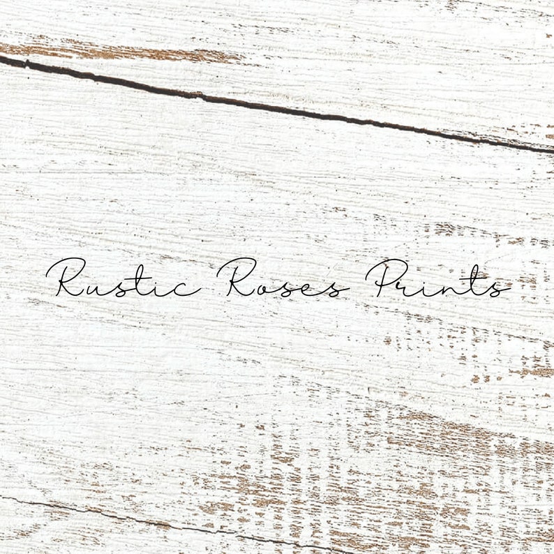 Peut inclure: Fond en bois blanchi &agrave; la chaux avec le texte "Rustic Roses Prints" en &eacute;criture cursive noire.