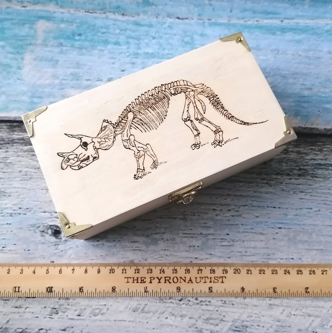 Jewellery Box / Trinket Box - Dinosaur Skeleton Fossil - Etsy