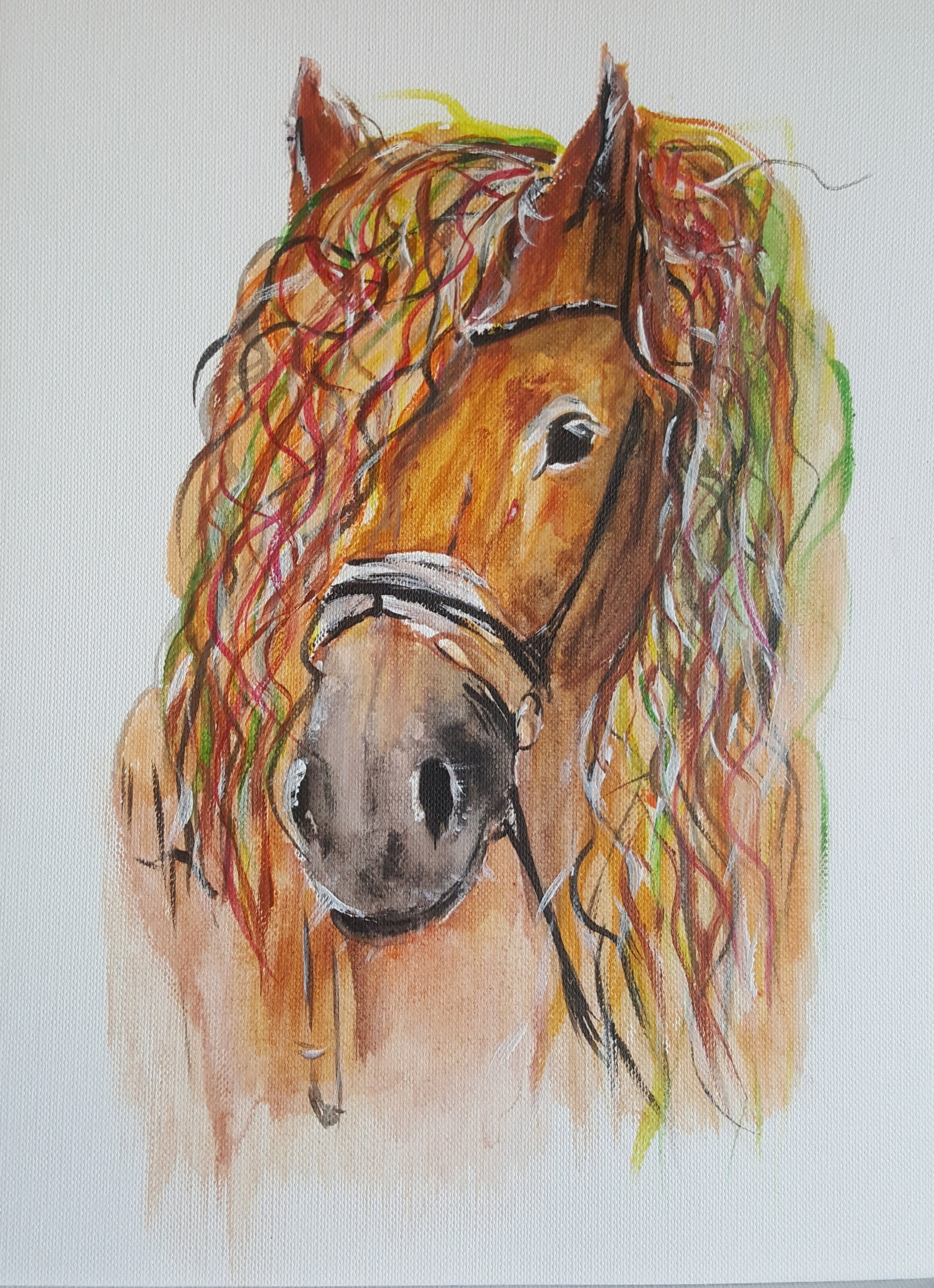 Impression numérique Télécharger Animaux Cheval sauvage Acrylique Image ...