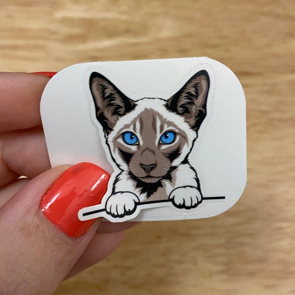 Siamese white and grey Cat STICKER, Siamese Cat Sticker,  Cute Grey and white Cat Sticker, Siamese Blue and White Cat Sticker