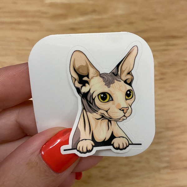 Blue and white Sphynx cat, Hairless Grey Cat Sticker, Cute Cat Design Sticker, Sphynx Kitty, Blue with white Sphynx Sticker Cat