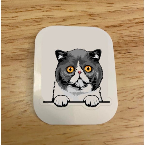Exotic short hair Cat STICKER, grey and white Exotic short hair Cat Sticker, Cute Cat Sticker