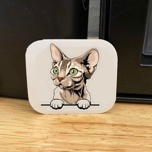 May include: A sticker featuring a cartoon illustration of a Devon Rex cat with green eyes, peeking over a white surface.